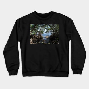 Water in Mangrove Clearing Crewneck Sweatshirt